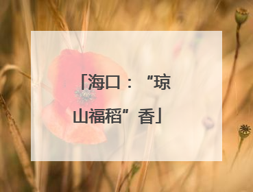 海口：“琼山福稻”香