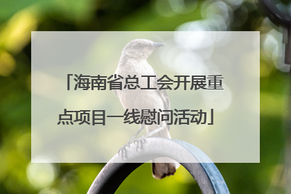海南省总工会开展重点项目一线慰问活动