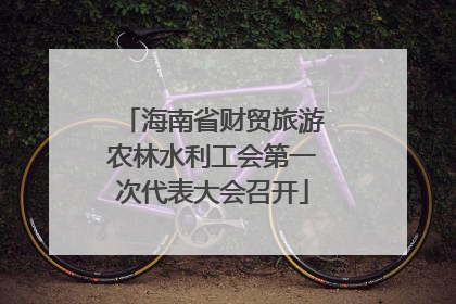 海南省财贸旅游农林水利工会第一次代表大会召开
