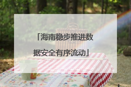 海南稳步推进数据安全有序流动