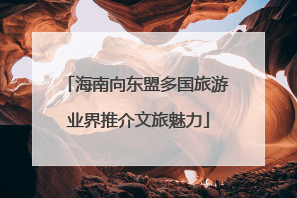 海南向东盟多国旅游业界推介文旅魅力