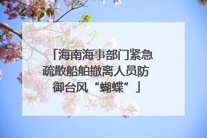 海南海事部门紧急疏散船舶撤离人员防御台风“蝴蝶”