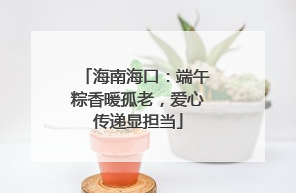 海南海口：端午粽香暖孤老，爱心传递显担当