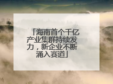 海南首个千亿产业集群持续发力，新企业不断涌入赛道