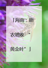 海南：助农增收 “黄金叶”