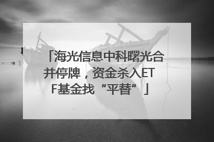 海光信息中科曙光合并停牌，资金杀入ETF基金找“平替”