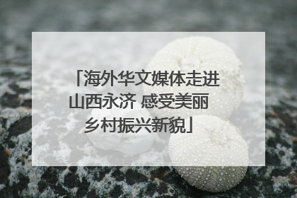海外华文媒体走进山西永济 感受美丽乡村振兴新貌