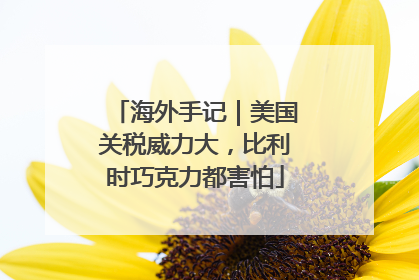 海外手记｜美国关税威力大，比利时巧克力都害怕