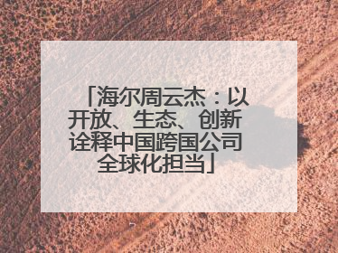海尔周云杰：以开放、生态、创新诠释中国跨国公司全球化担当