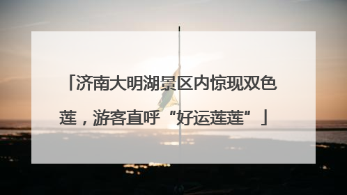 济南大明湖景区内惊现双色莲，游客直呼“好运莲莲”