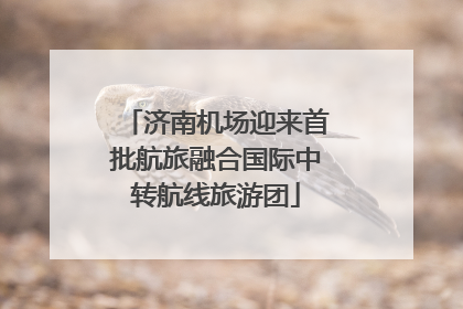 济南机场迎来首批航旅融合国际中转航线旅游团