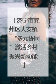 济宁市兖州区大安镇“多元协同”激活乡村振兴新动能