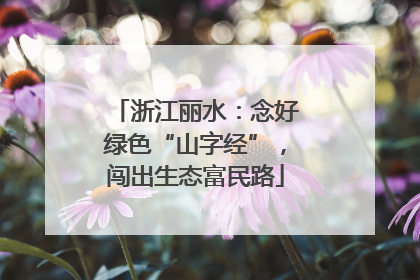 浙江丽水：念好绿色“山字经”，闯出生态富民路