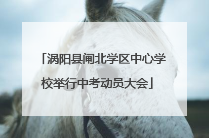 涡阳县闸北学区中心学校举行中考动员大会