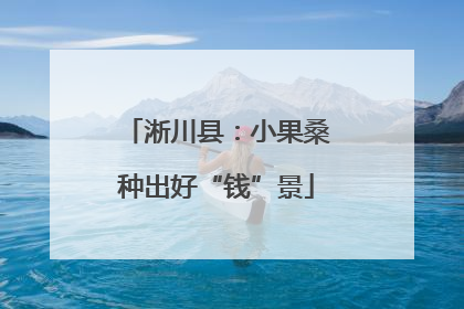 淅川县：小果桑种出好“钱”景