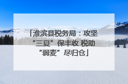 淮滨县税务局：攻坚“三夏”保丰收 税助“弱麦”尽归仓