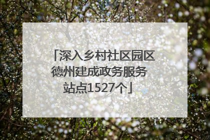 深入乡村社区园区 德州建成政务服务站点1527个