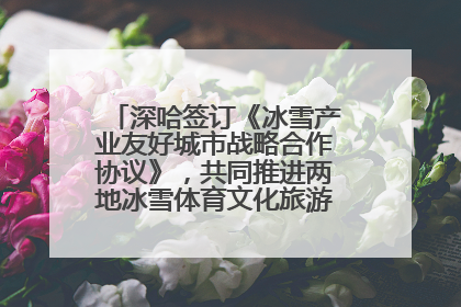 深哈签订《冰雪产业友好城市战略合作协议》，共同推进两地冰雪体育文化旅游高质量发展
