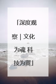 深度观察｜文化为魂 科技为翼