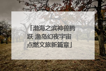 渤海之滨神兽腾跃 渔岛幻夜宇宙点燃文旅新篇章