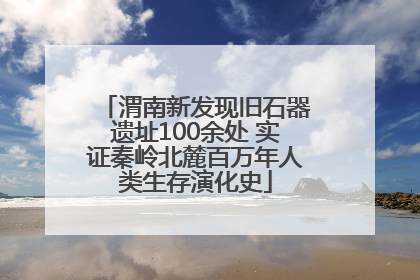 渭南新发现旧石器遗址100余处 实证秦岭北麓百万年人类生存演化史