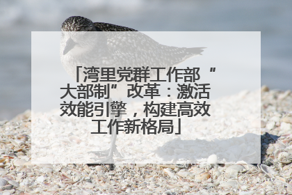 湾里党群工作部“大部制”改革：激活效能引擎，构建高效工作新格局