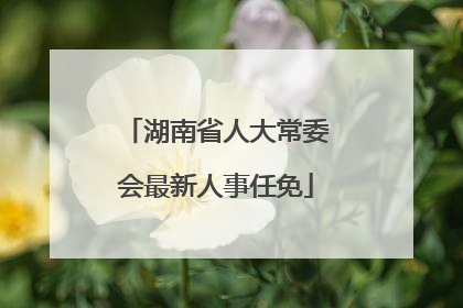 湖南省人大常委会最新人事任免
