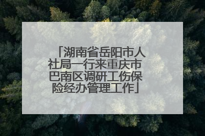 湖南省岳阳市人社局一行来重庆市巴南区调研工伤保险经办管理工作