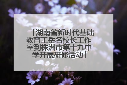 湖南省新时代基础教育王岳名校长工作室到株洲市第十九中学开展研修活动