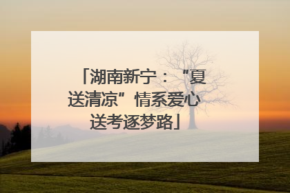 湖南新宁：“夏送清凉”情系爱心送考逐梦路