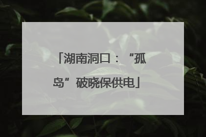 湖南洞口：“孤岛”破晓保供电