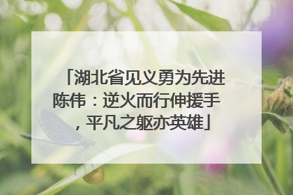 湖北省见义勇为先进陈伟：逆火而行伸援手，平凡之躯亦英雄