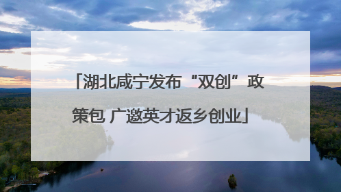 湖北咸宁发布“双创”政策包 广邀英才返乡创业