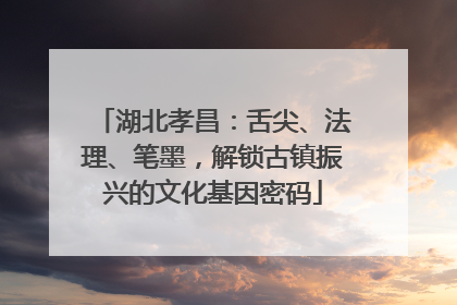 湖北孝昌：舌尖、法理、笔墨，解锁古镇振兴的文化基因密码