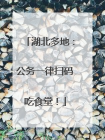 湖北多地：公务一律扫码吃食堂！