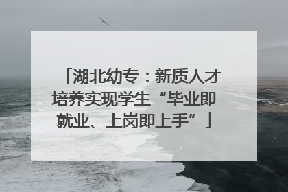 湖北幼专：新质人才培养实现学生“毕业即就业、上岗即上手”