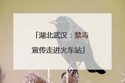 湖北武汉：禁毒宣传走进火车站