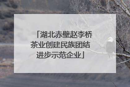湖北赤壁赵李桥茶业创建民族团结进步示范企业