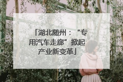 湖北随州：“专用汽车走廊”掀起产业新变革