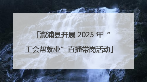 溆浦县开展 2025 年“工会帮就业”直播带岗活动