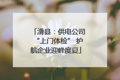 滑县：供电公司“上门体检” 护航企业迎峰度夏