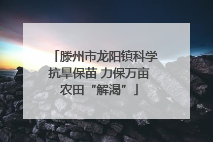 滕州市龙阳镇科学抗旱保苗 力保万亩农田“解渴”