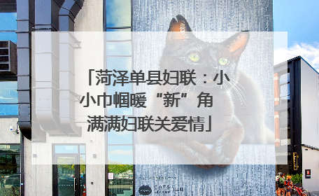 菏泽单县妇联：小小巾帼暖“新”角 满满妇联关爱情