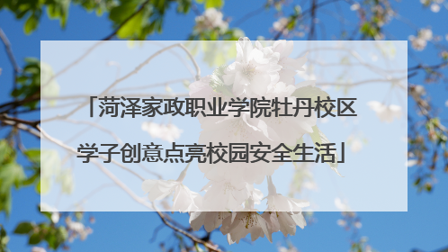 菏泽家政职业学院牡丹校区学子创意点亮校园安全生活