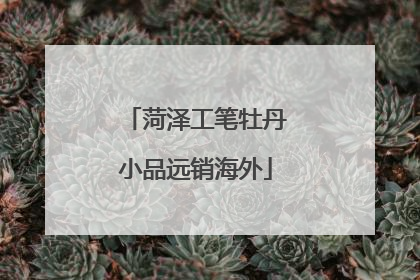 菏泽工笔牡丹小品远销海外