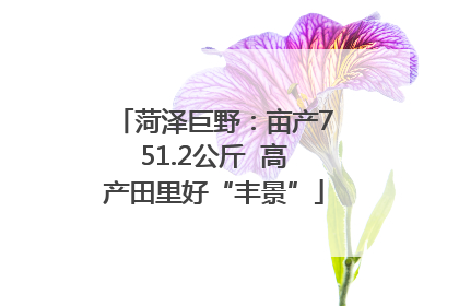 菏泽巨野：亩产751.2公斤  高产田里好“丰景”