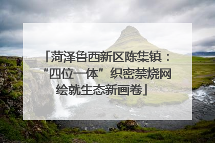 菏泽鲁西新区陈集镇：“四位一体”织密禁烧网 绘就生态新画卷