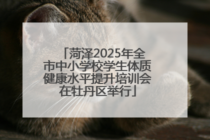菏泽2025年全市中小学校学生体质健康水平提升培训会在牡丹区举行