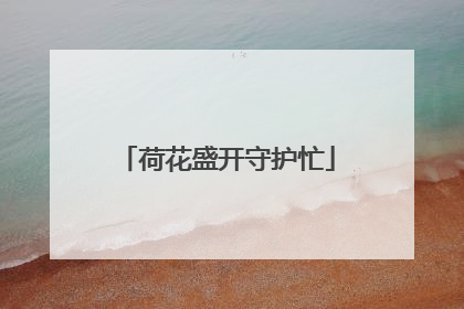 荷花盛开守护忙