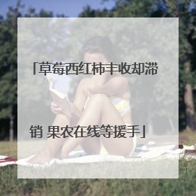草莓西红柿丰收却滞销 果农在线等援手